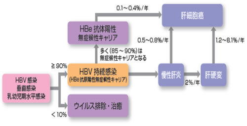 慢性肝炎の治療ガイド 